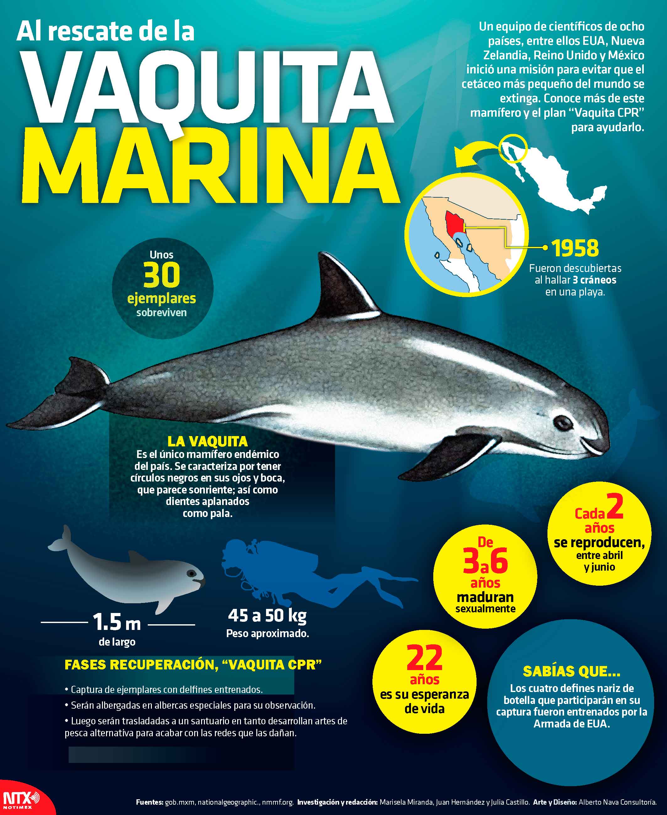 Al rescate de la Vaquita Marina