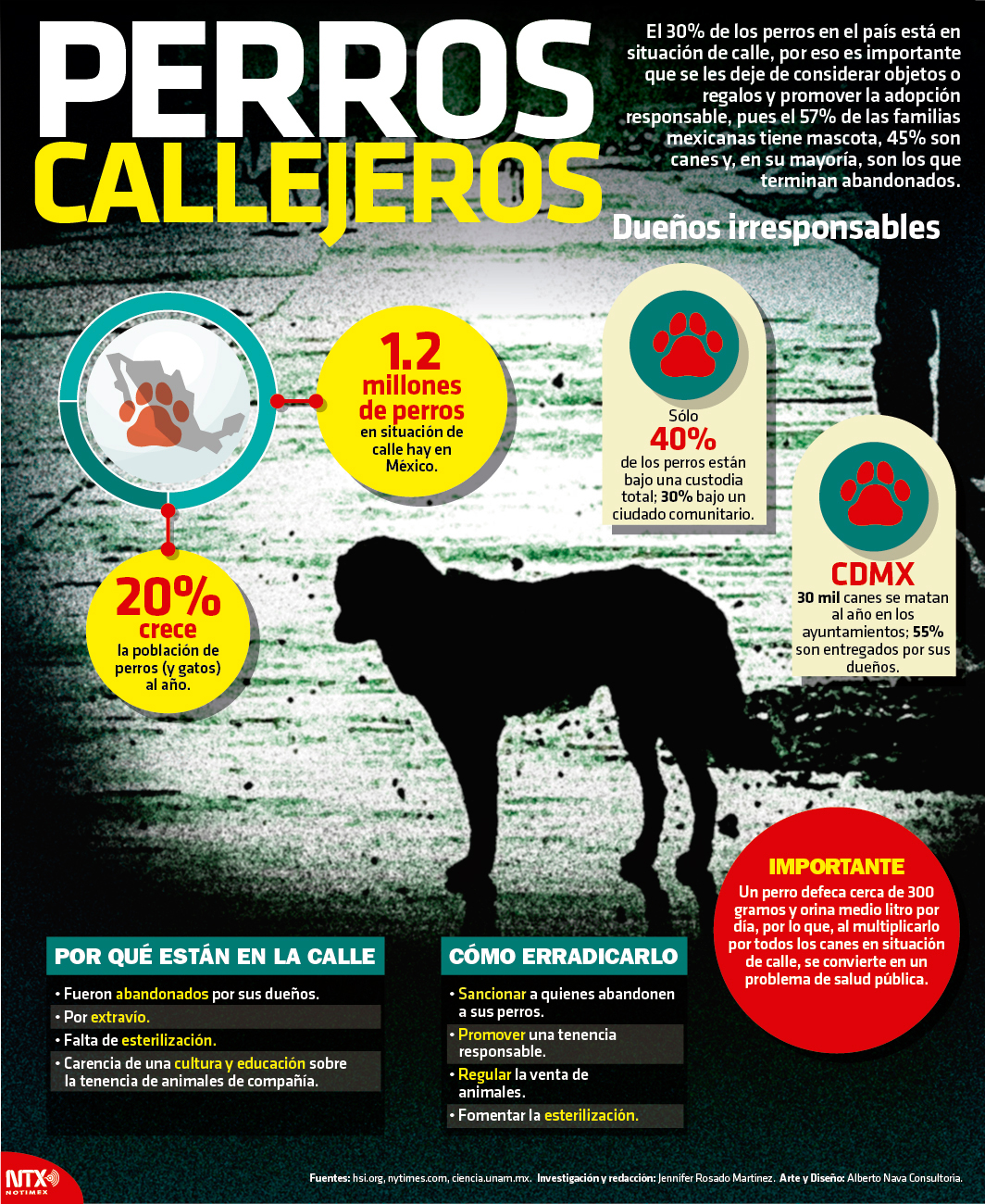 Perros Callejeros  