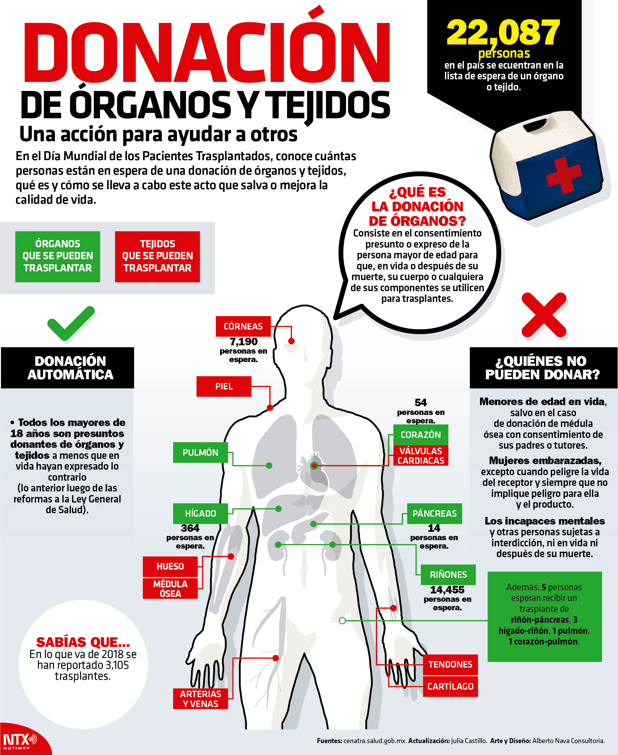 Donaci�n de �rganos y tejidos