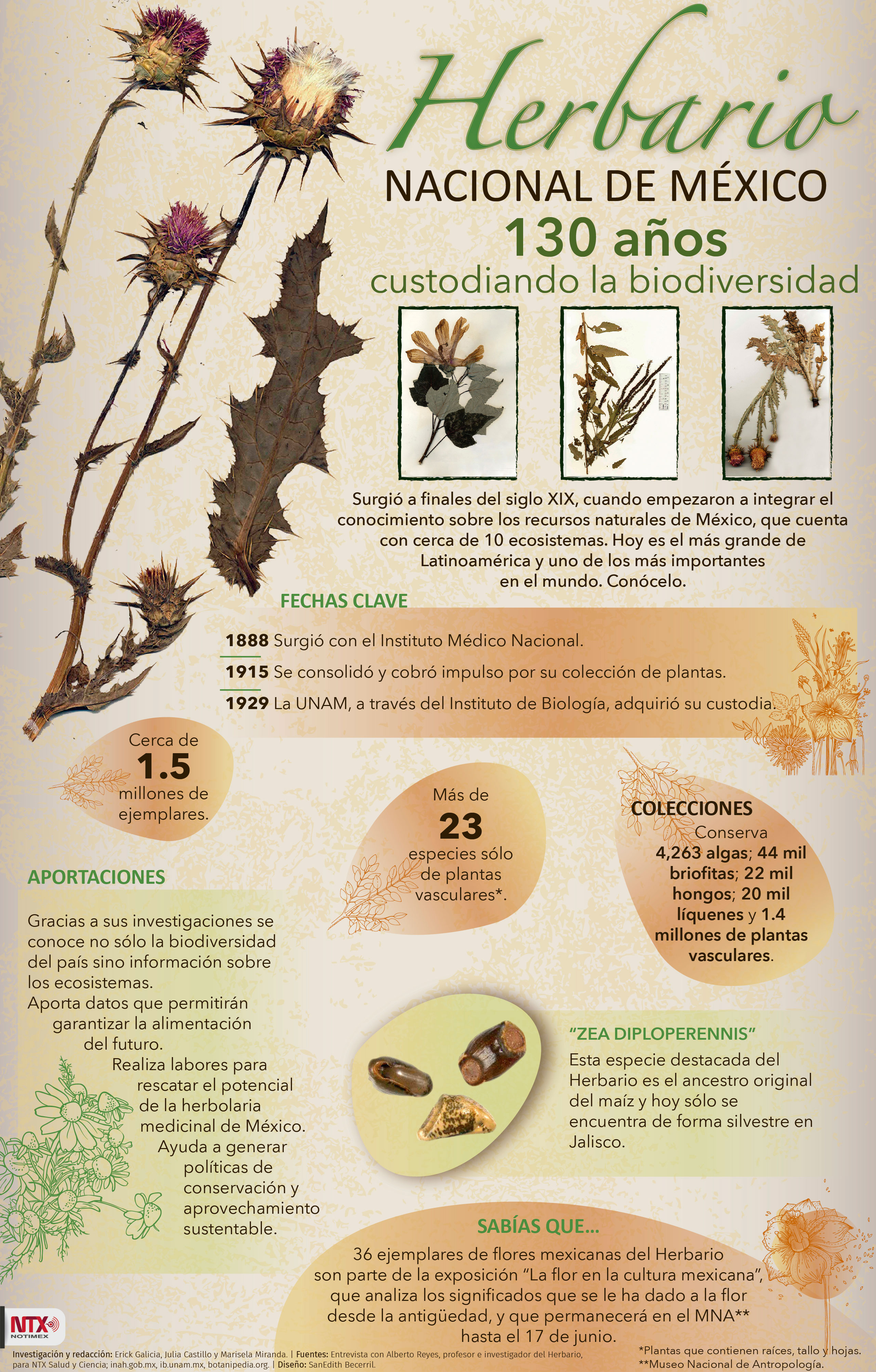 Herbaria Nacional de Mxico