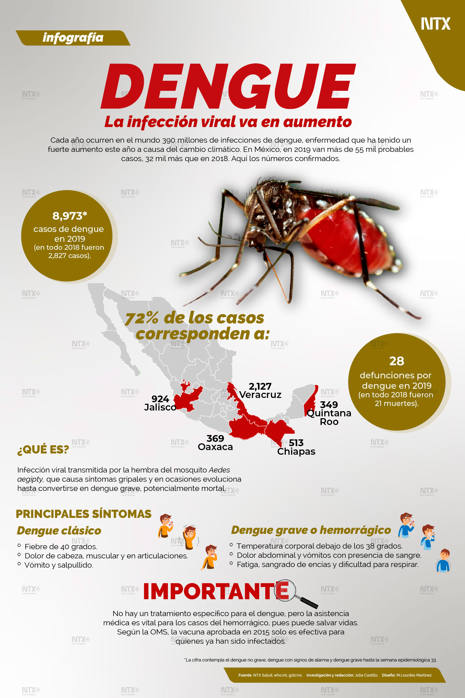 Dengue, la infeccin viral va en aumento