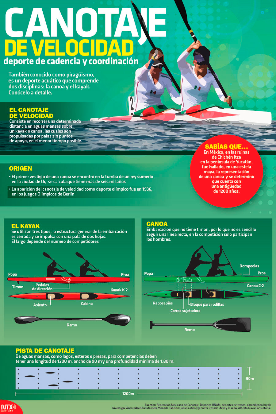 Canotaje de velocidad, deporte de cadencia y coordinaci�n 