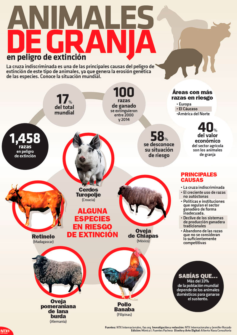 Animales de granja en peligro de extinci�n