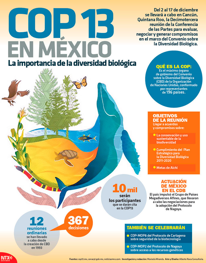 COP 13 en M�xico 