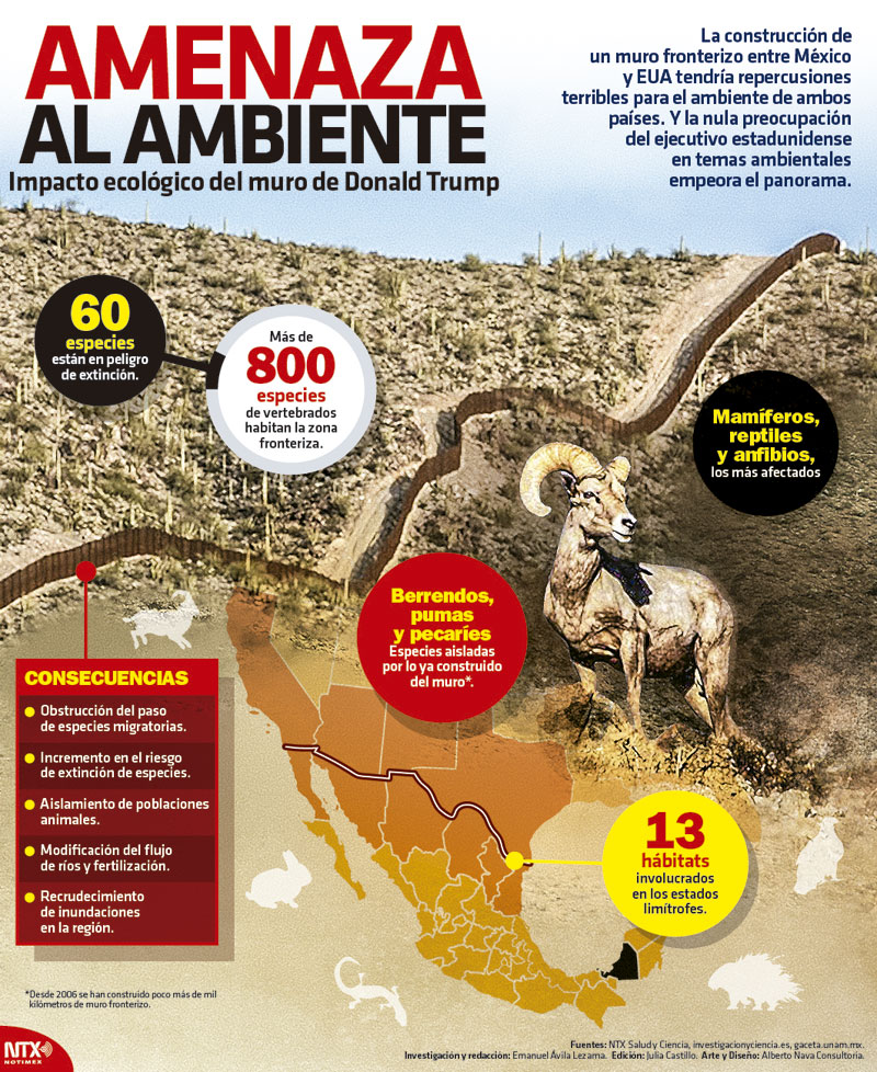 Amenaza al ambiente: Impacto ecol�gico del muro de Donald Trump 