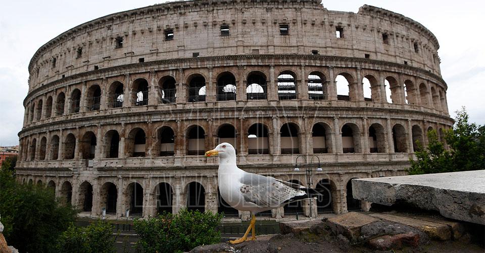 Coliseo, en Roma, Italia
