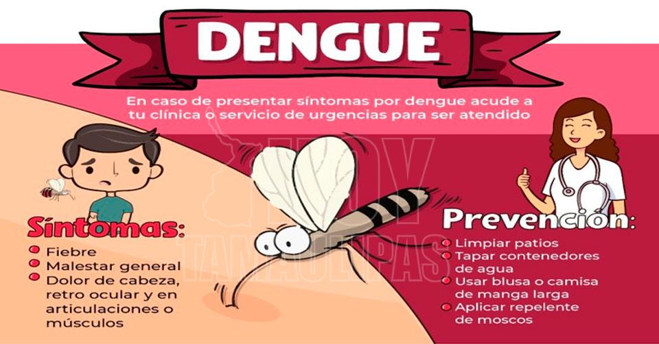 Hoy Tamaulipas - Recomienda IMSS cuidados ante temporada de mosquitos