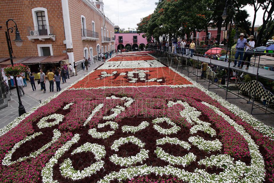Galeria Fotografica: Tapete monumental de flores en Puebla