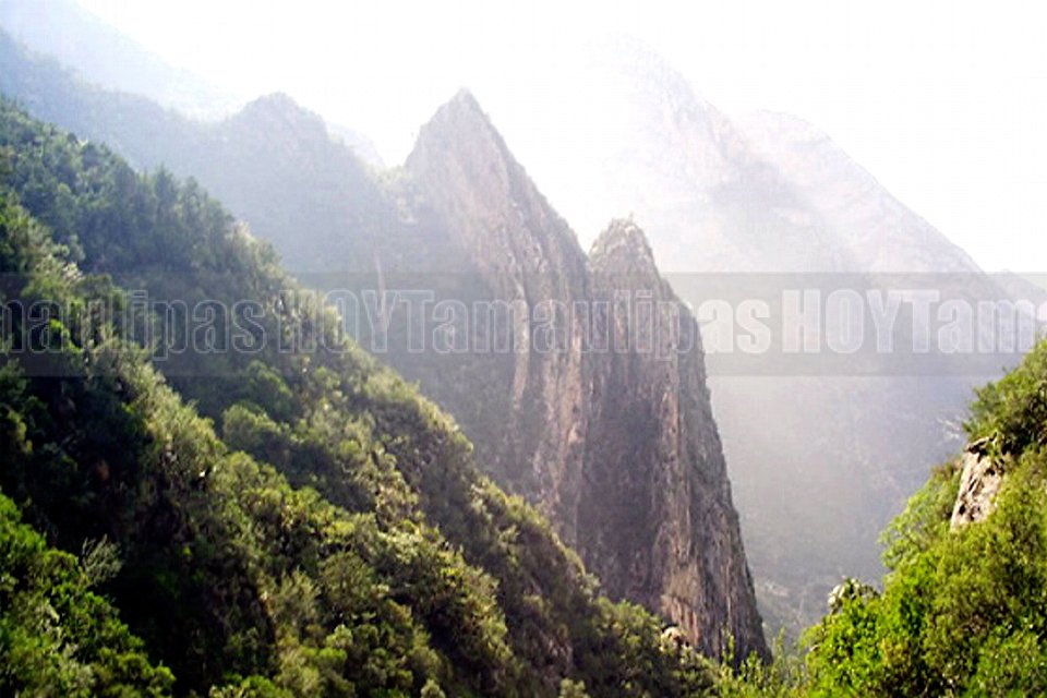 Sierra de Zapalinam�