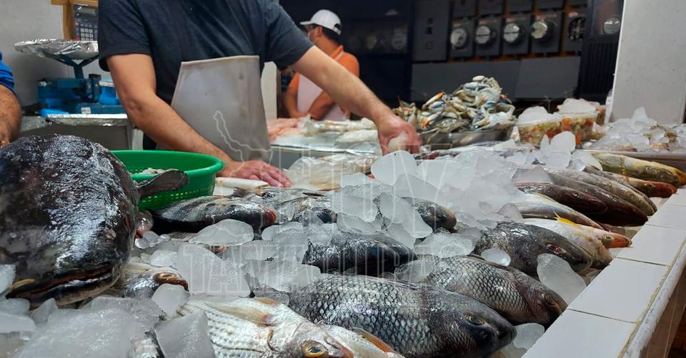 Hoy Tamaulipas - Tamaulipas Sequia afecta a vendedores de pescados y  mariscos en Madero