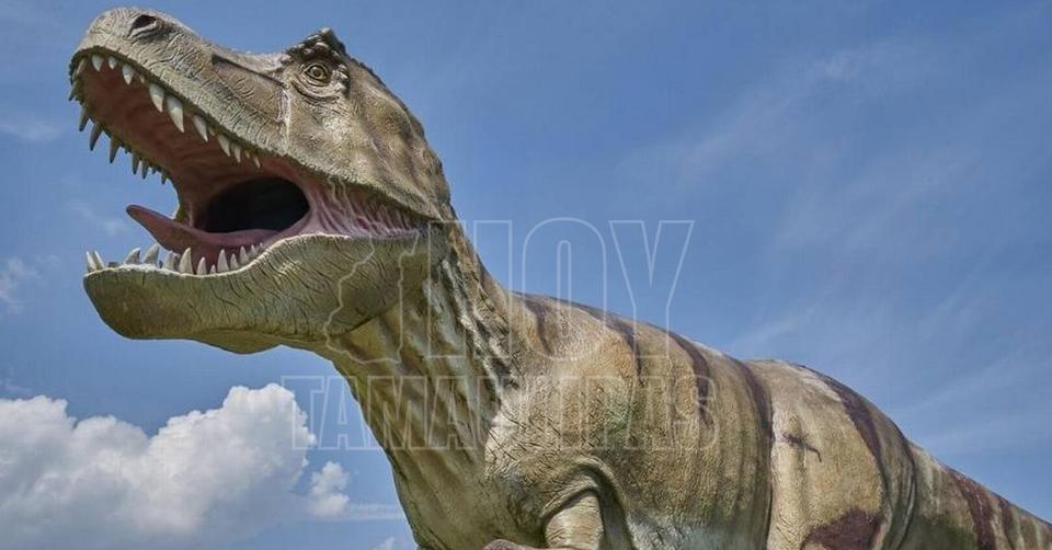 Hoy Tamaulipas - Tamaulipas Dinosaurios animados islas interactivas y mas durante junio y julio en Reynosa Hoy Tamaulipas - Tamaulipas Dinosaurios animados islas interactivas y mas durante junio y julio en Reynosa