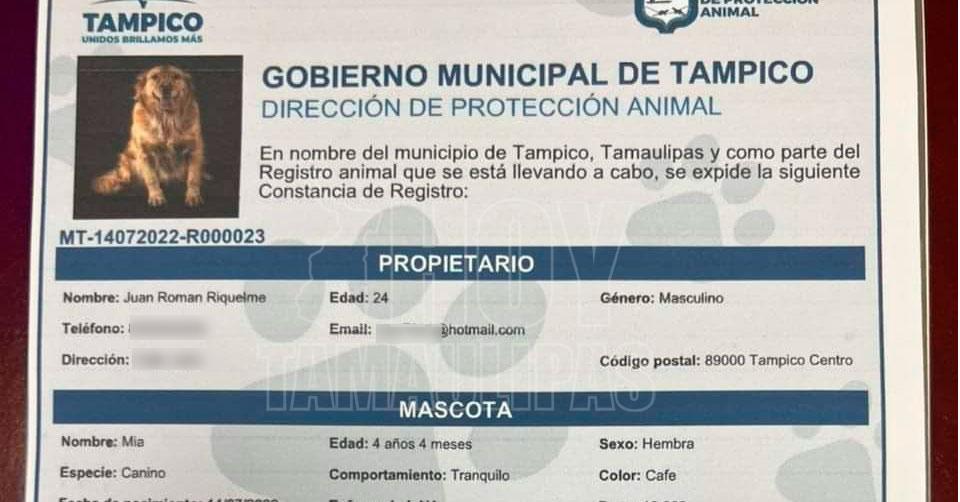 Hoy Tamaulipas - Proteccion Animal en Tamaulipas En Tampico las mascotas ya  pueden tener su Â“Acta de NacimientoÂ”