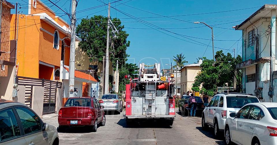 Pino cae y deja sin luz hogares en centro de Tampico