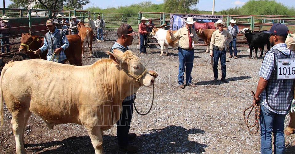 Hoy Tamaulipas Ganaderos contentos por precio de ganado para