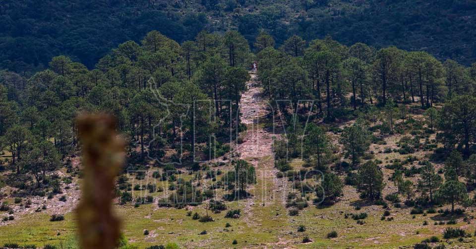 Naturaleza imponente en Miquihuana