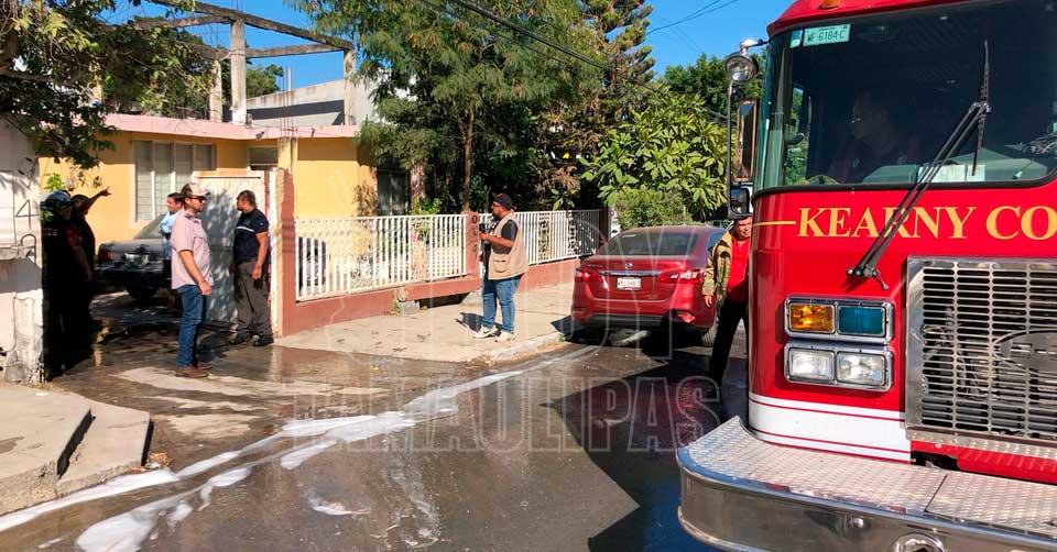 FOTOS DEL DA 07/11/2025