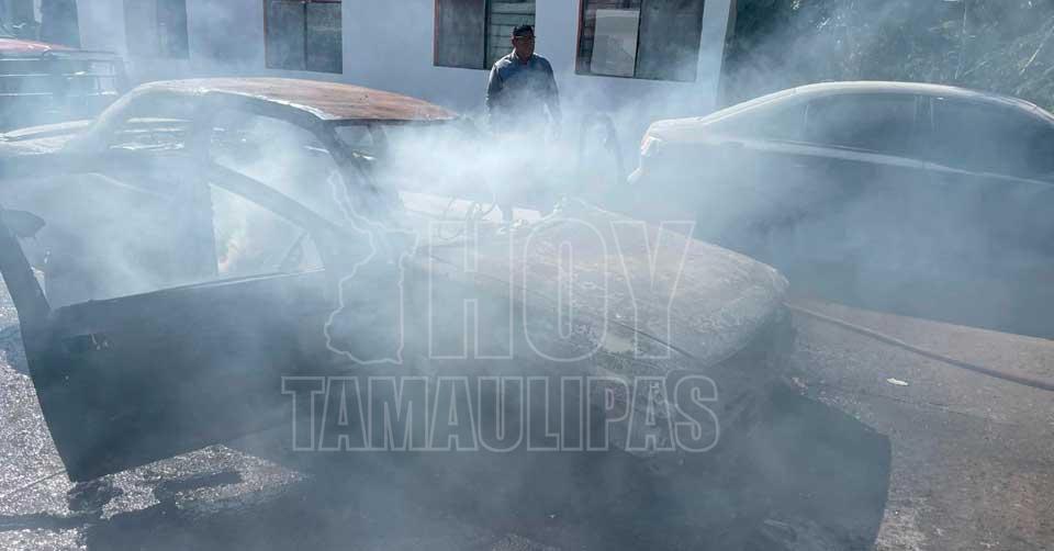 FOTOS DEL DA 12/11/2025