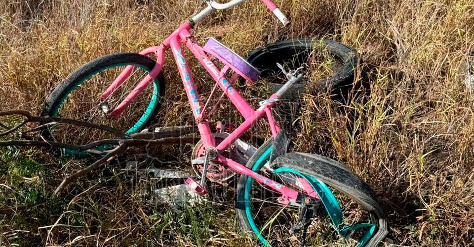 FOTOS DEL DIA 29/11/2025