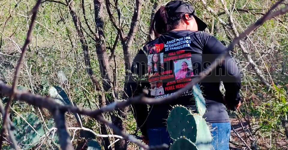 Buscan entre la maleza, no pierden la esperanza