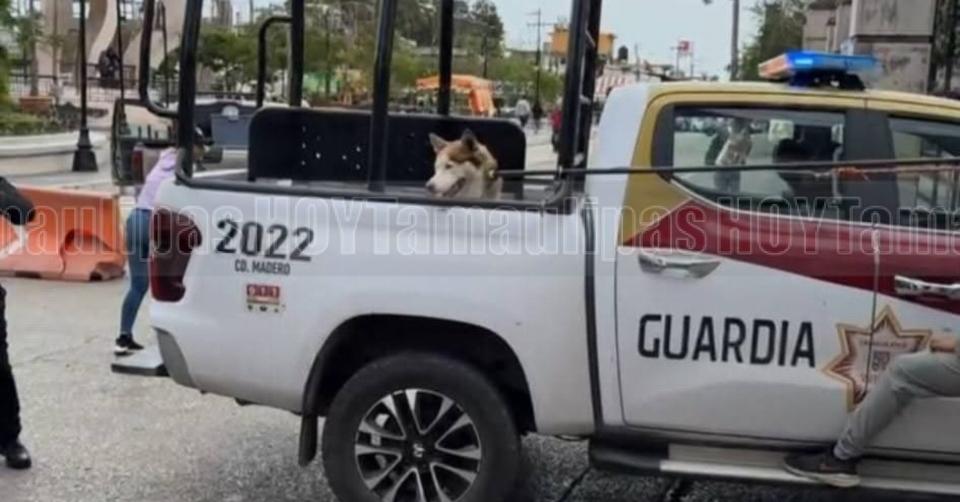 FOTOS DEL D�A 10/01/2026