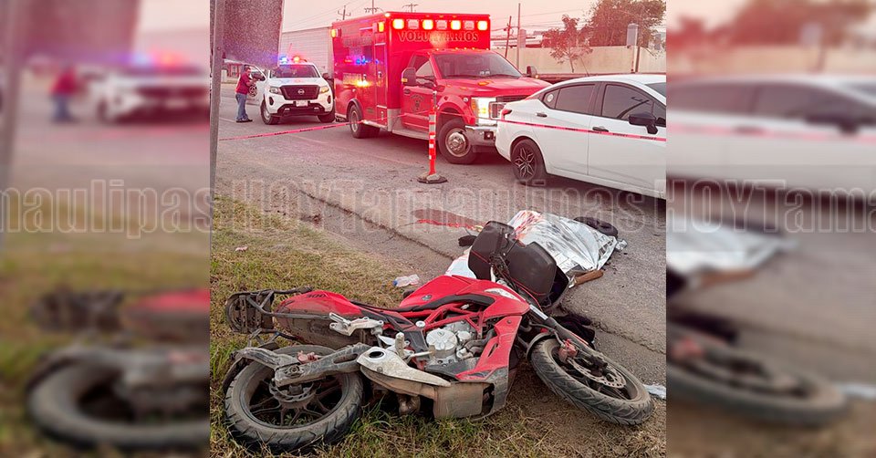 FOTOS DEL D�A 12/02/ 26