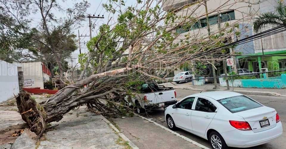 FOTOS DEL D�A 16/03/26