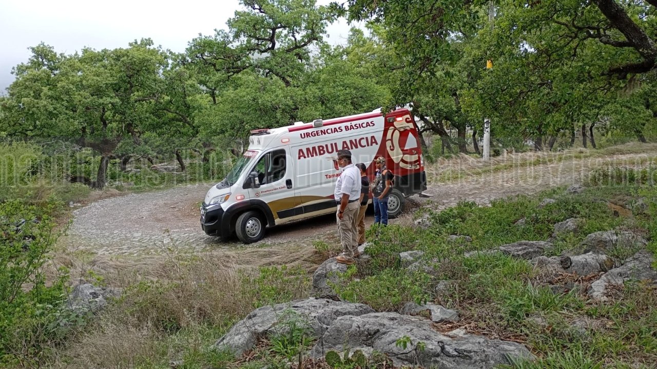 Rescatan a adulto mayor y menor extraviados en Pino Solo