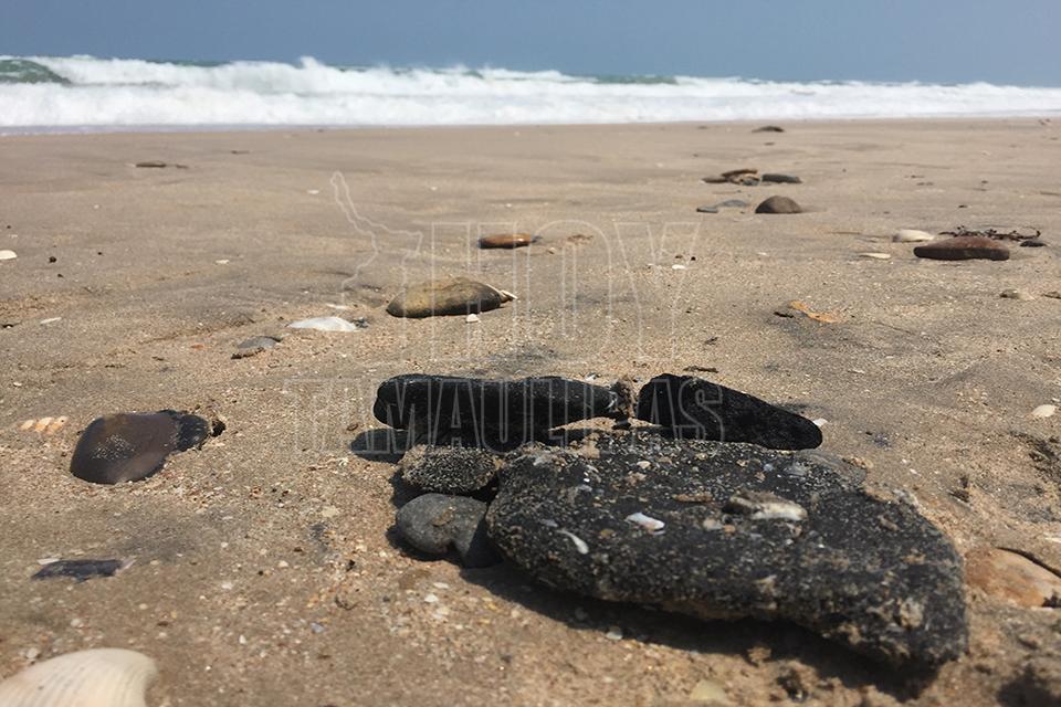 Hoy Tamaulipas - Presencia de chapopote en Playa Miramar es natural