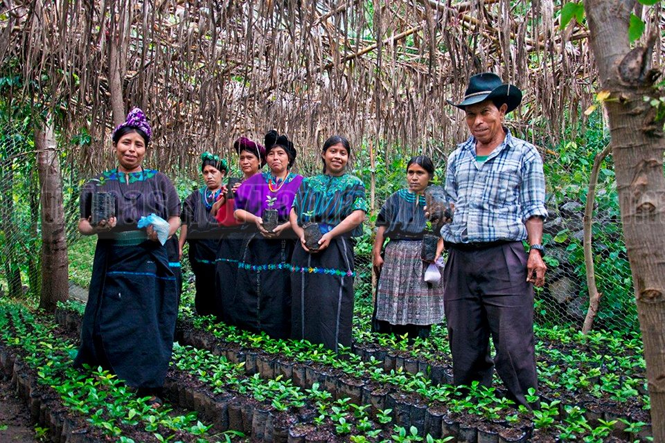 Impulsan aprovechamiento de recursos naturales en aldea 