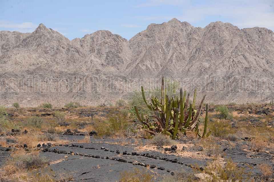 Bah�a de Adair, Sonora