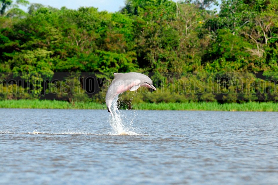 Lagos de Tarapoto primer humedal Ramsar de la Amazonia colombiana