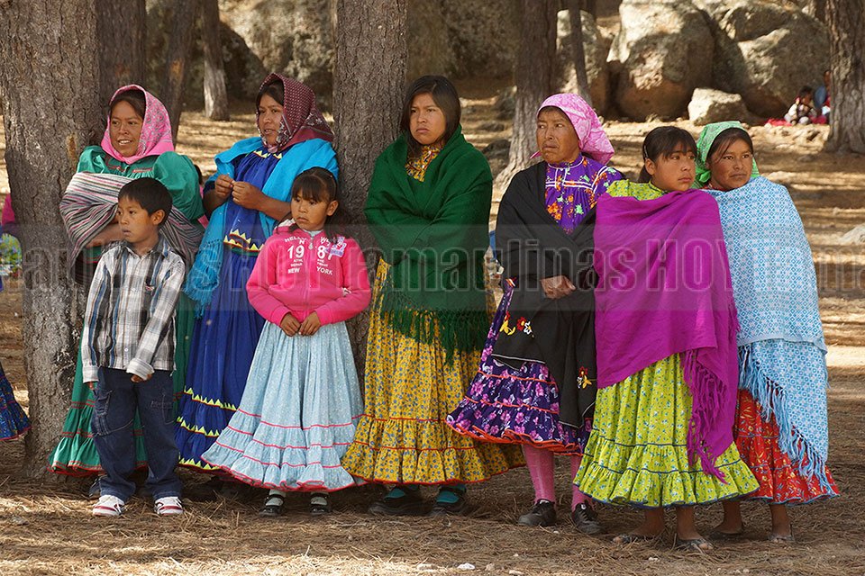 Pueblos ind�genas