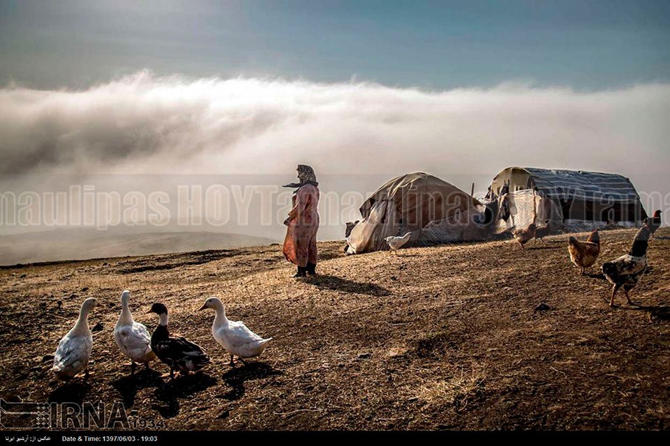 Los n�madas de Kurmanj