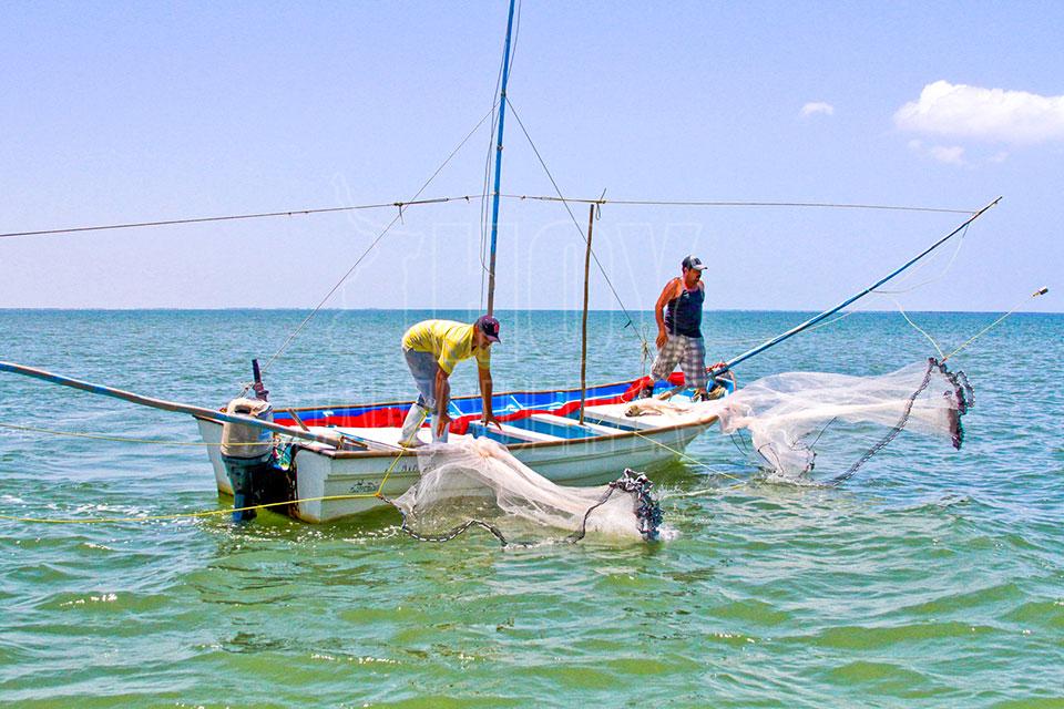 https://www.hoytamaulipas.net/lafoto/92649/Crecimiento-de-la-pesca-en-Mexico-se-basa-en-sustentabilidad-SAGARPA.jpg