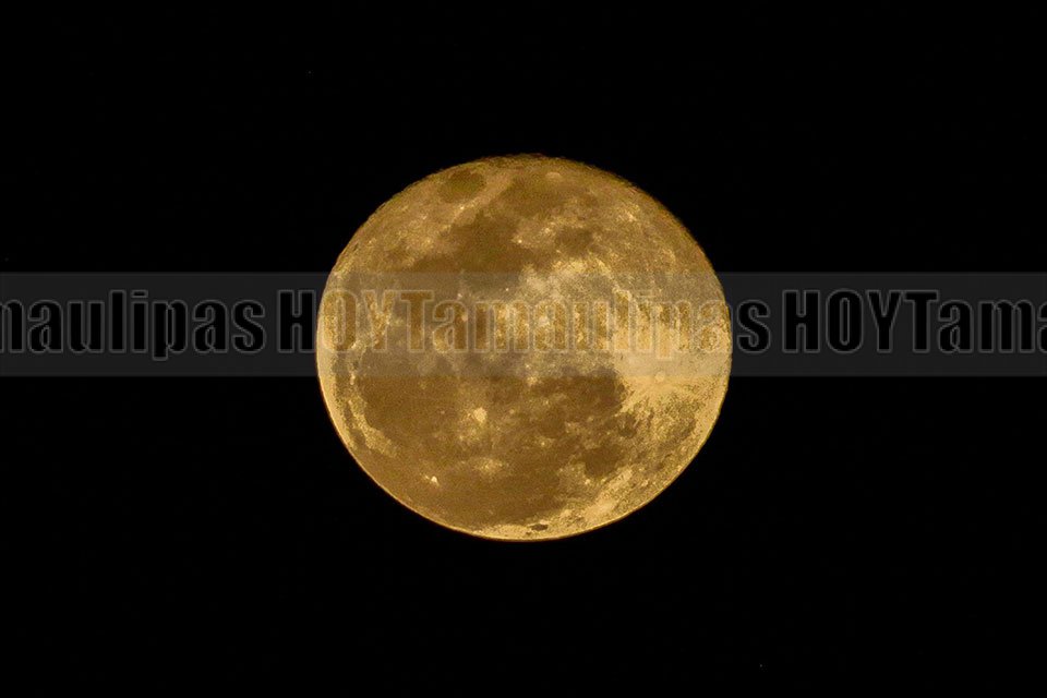 Luna dorada ilumina la noche