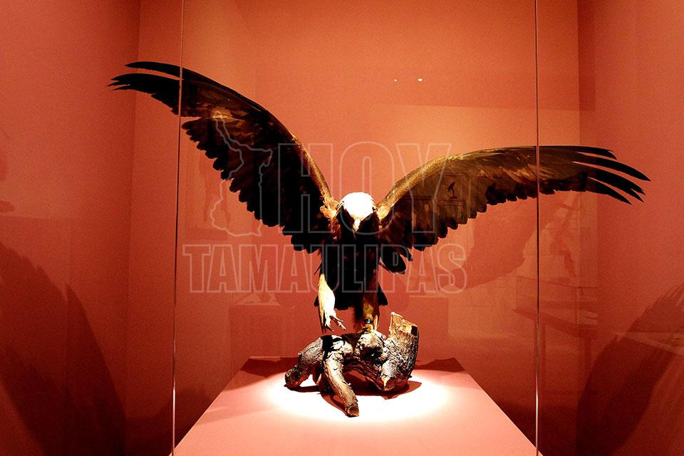 Exposicin "Chimalli Tesoro de Moctezuma"